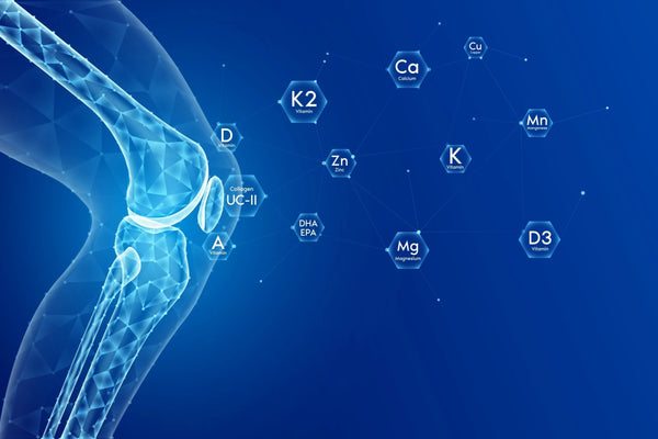 The Link Between Hydration and Immune Function: Boost Your Health with Proper Hydration