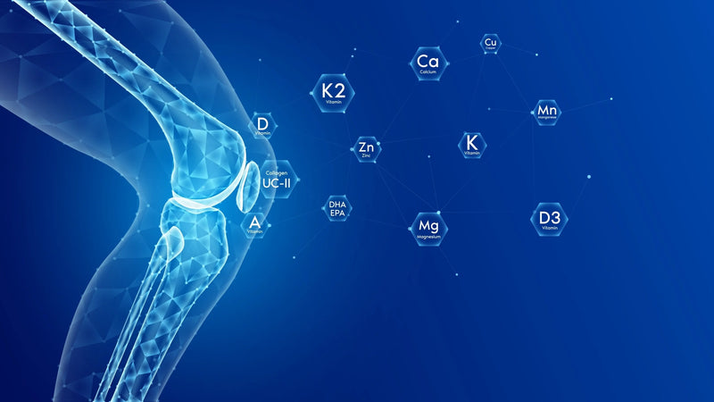The Link Between Hydration and Immune Function: Boost Your Health with Proper Hydration