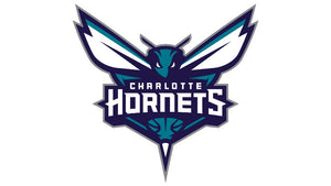 Charlotte Hornets Water Bottles | ION8 x NBA